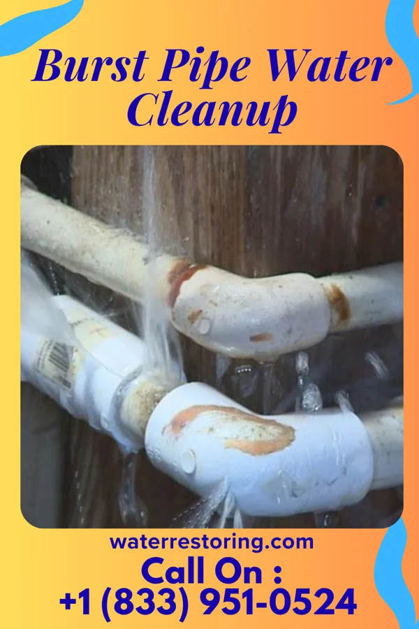 Burst Pipe Water Cleanup in Big Chimney, WV