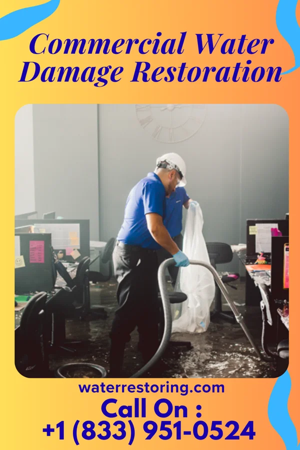 Commercial Water Damage Restoration in Big Chimney, WV