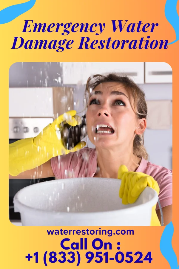 Emergency Water Damage Restoration in Big Chimney, WV