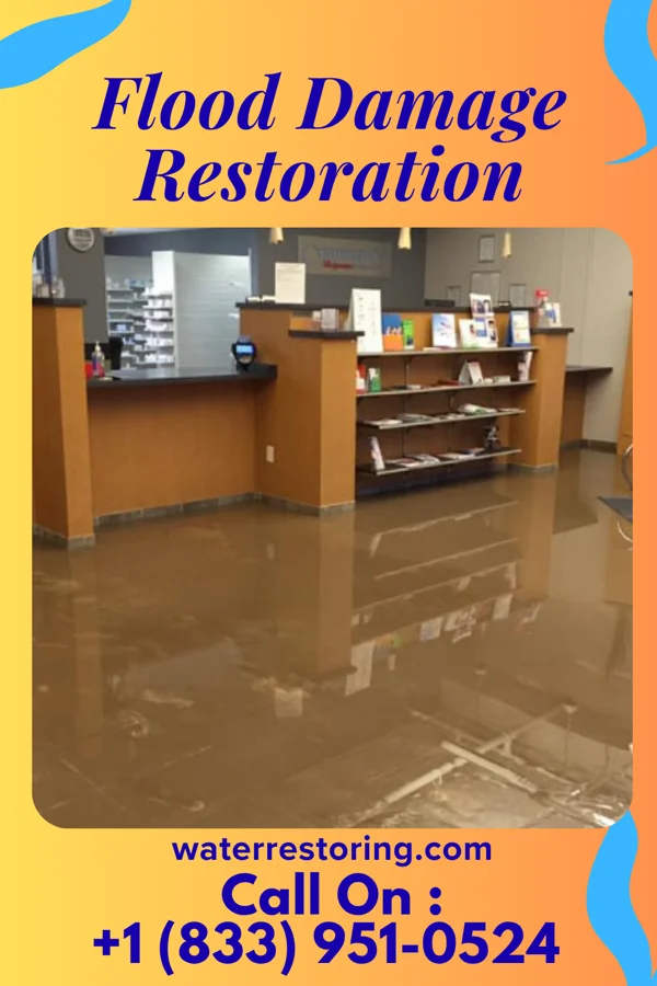 Flood Damage Restoration in Big Chimney, WV