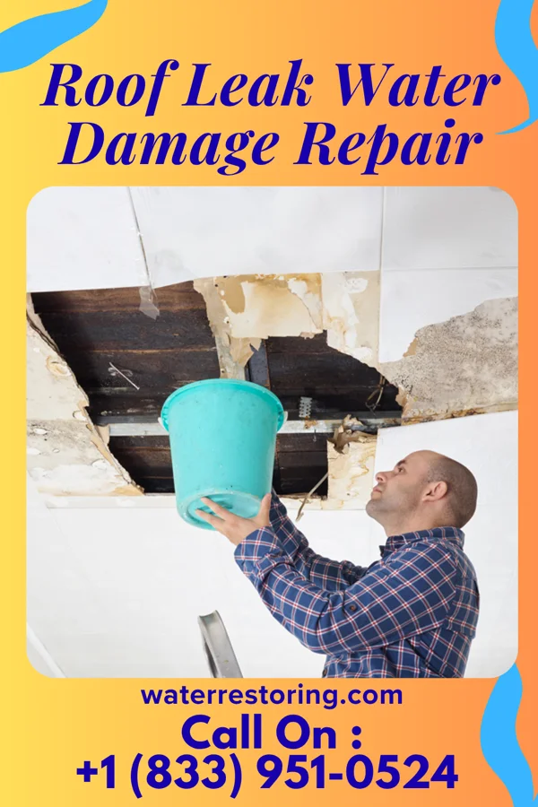 Roof Leak Water Damage Repair in Big Chimney, WV