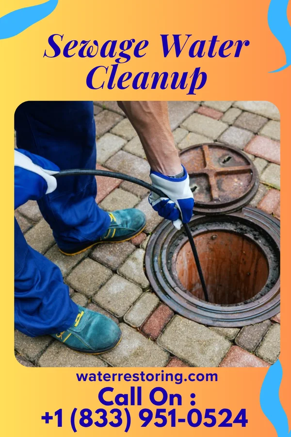 Sewage Water Cleanup in Big Chimney, WV