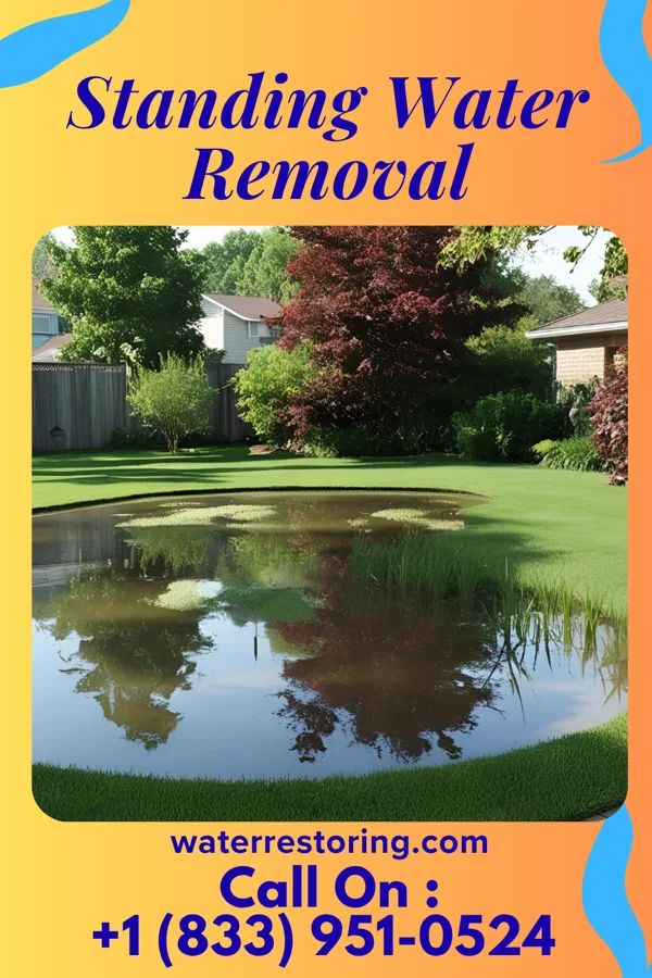 Standing Water Removal in Big Chimney, WV